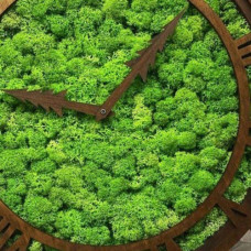 Мастер-класс по изготовлению композиций из мха